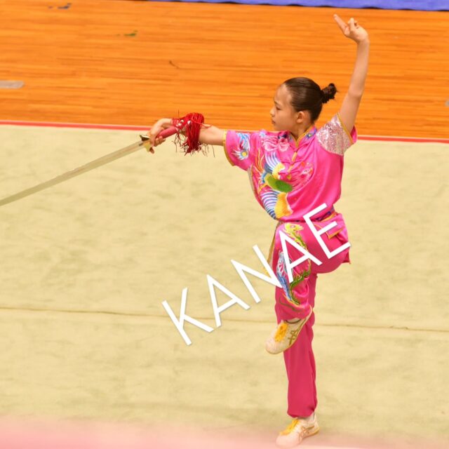 Amazon.co.jp: ジェイカンフー 八極拳 徐紀 武壇 螳螂拳 少林拳